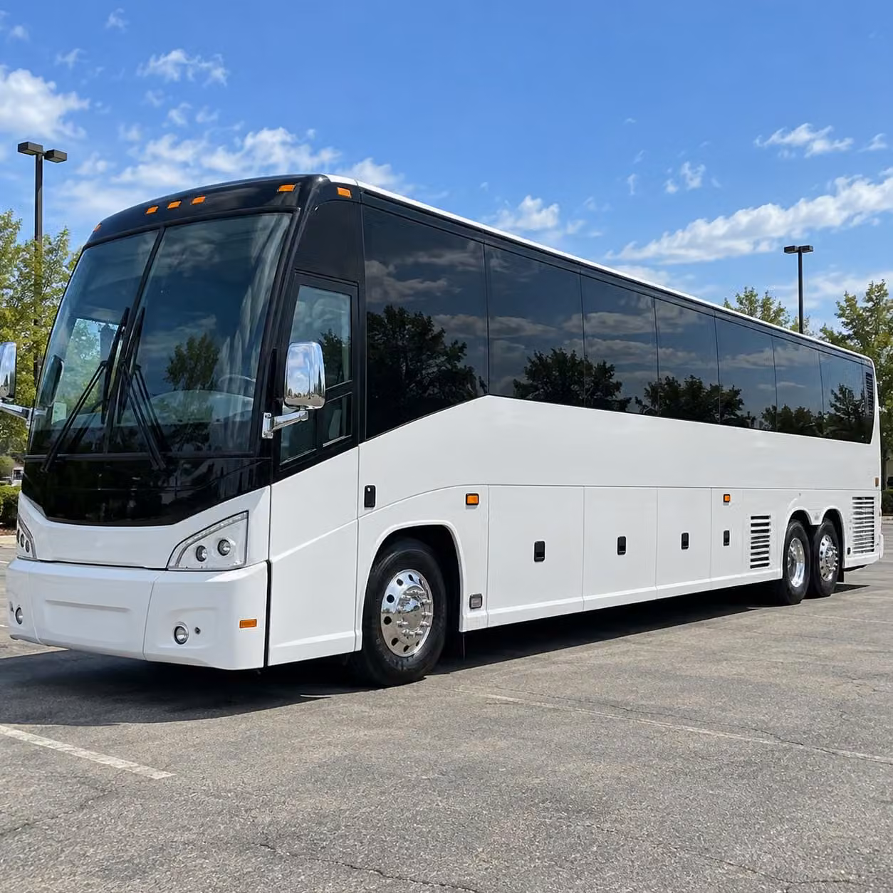 browse party buses minibuses and charter buses for portsmouth prom night